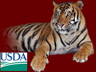 Glider Pets Glider Pets